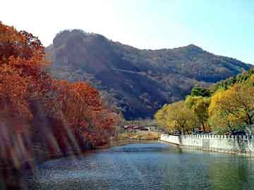 管家婆黑白马报图库，黄金圣水